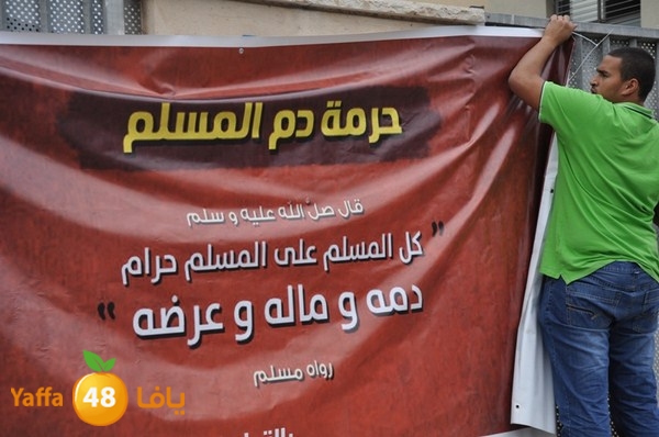 3onfyaffa48 (10).JPG